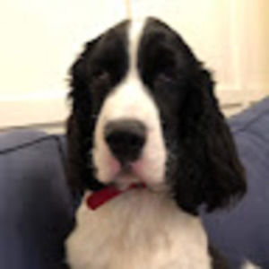 Meet your Posher, Debra